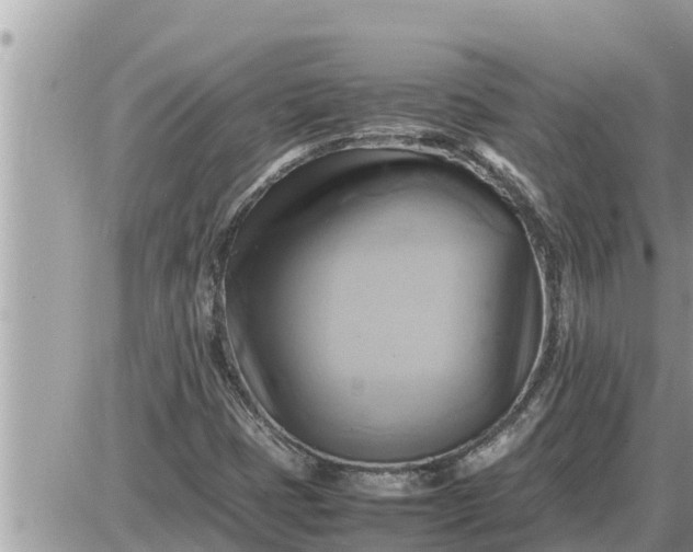 X0000087401401200705042024