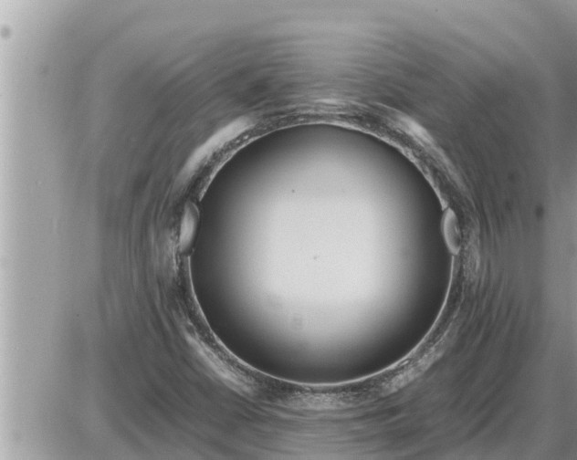 X0000087401402200705042024