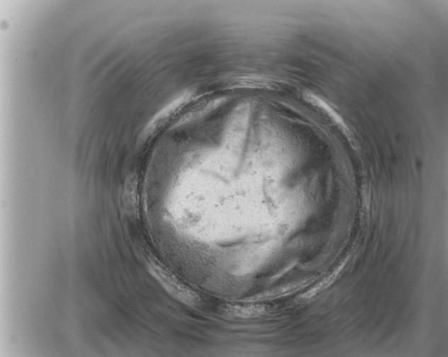 X0000087401403200705042024