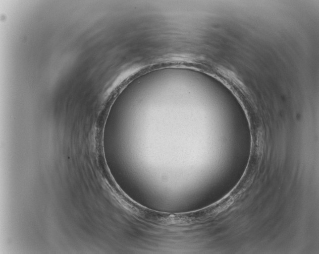 X0000087401404200705042024