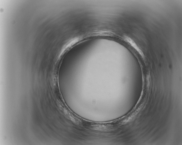 X0000087401405200705042024