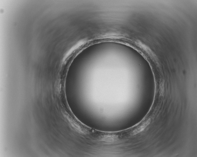 X0000087401406200705042024