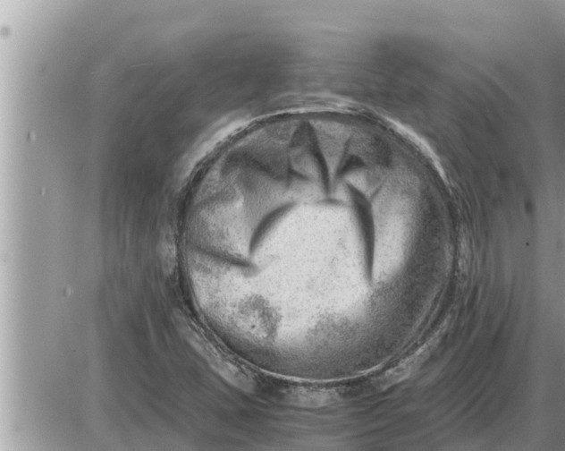 X0000087401407200705042024