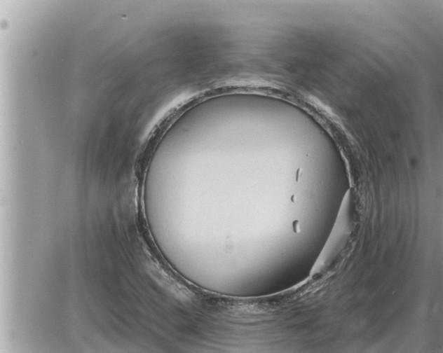 X0000087401408200705042024