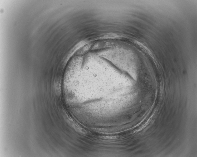 X0000087401409200705042024