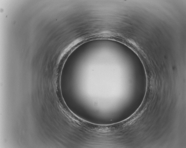 X0000087401410200705042024