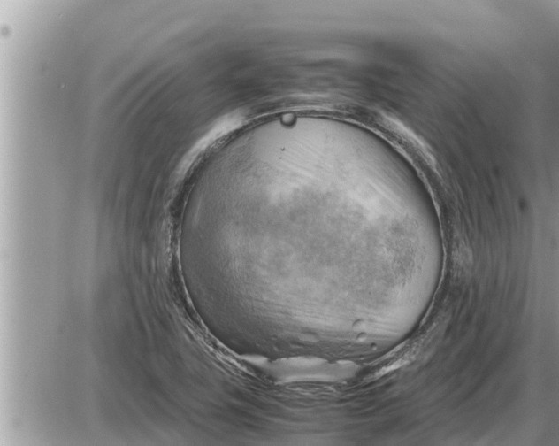 X0000087401411200705042024