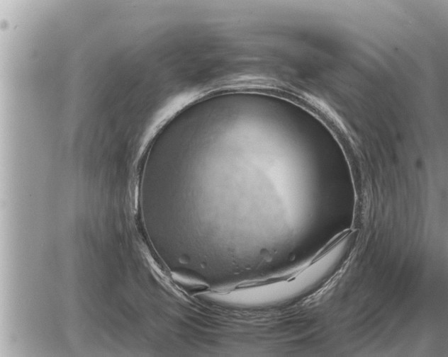 X0000087401413200705042024