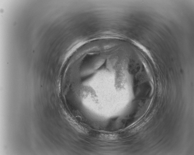 X0000087401415200705042024