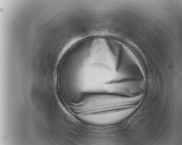 X0000087401416200705042024