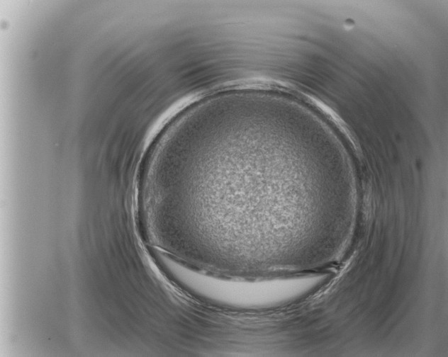 X0000087401418200705042024