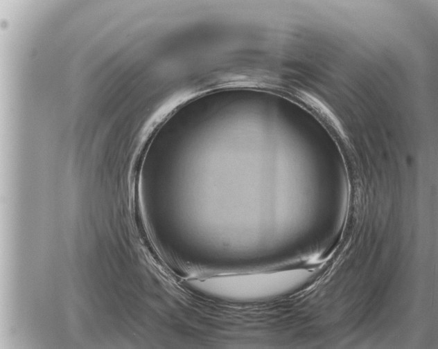 X0000087401419200705042024