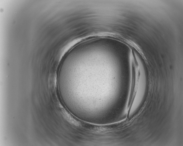 X0000087401420200705042024