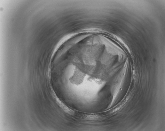 X0000087401421200705042024