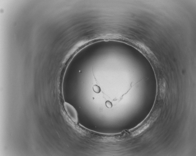 X0000087401422200705042024