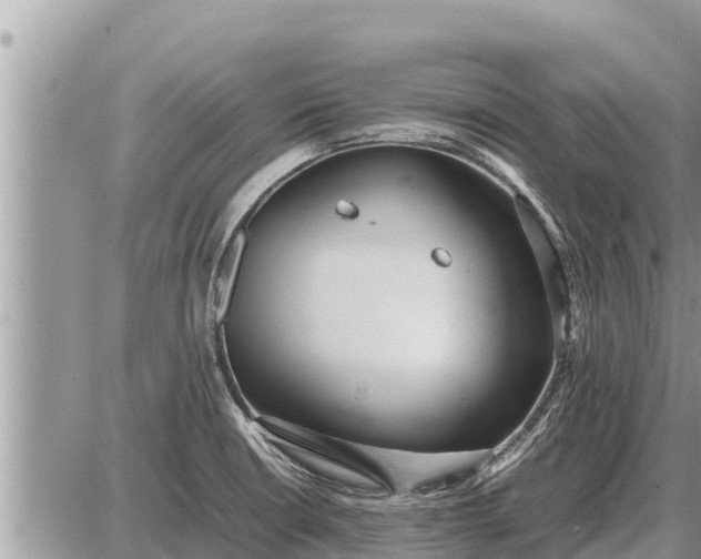 X0000087401426200705042024