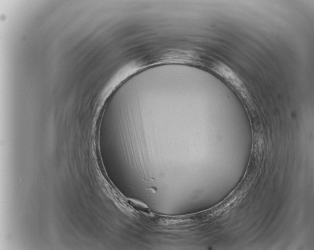 X0000087401427200705042024