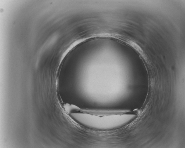 X0000087401428200705042024