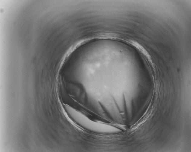 X0000087401429200705042024