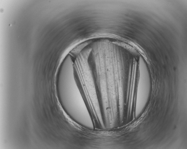 X0000087401430200705042024