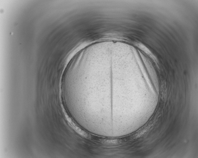 X0000087401431200705042024