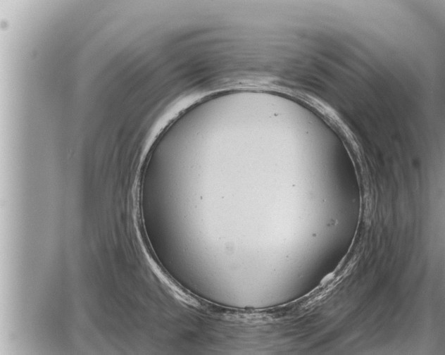 X0000087401432200705042024