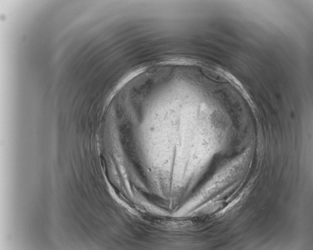 X0000087401433200705042024