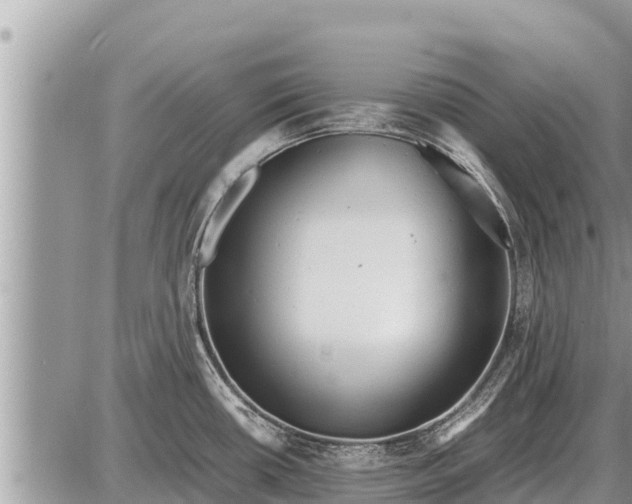 X0000087401434200705042024