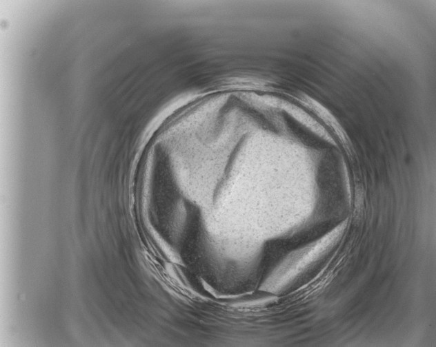 X0000087401435200705042024