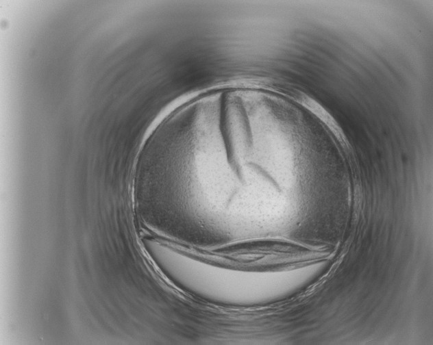 X0000087401436200705042024