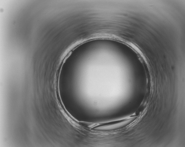 X0000087401438200705042024