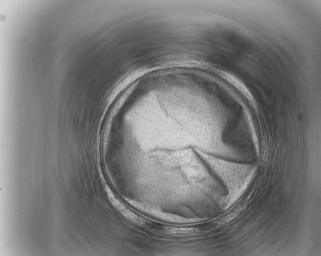 X0000087401439200705042024