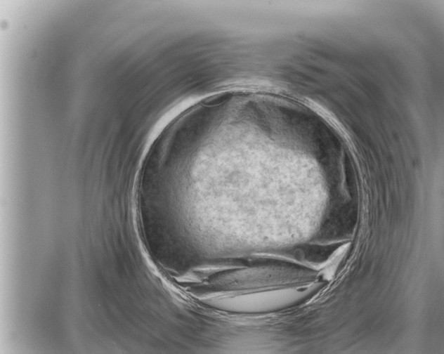 X0000087401440200705042024