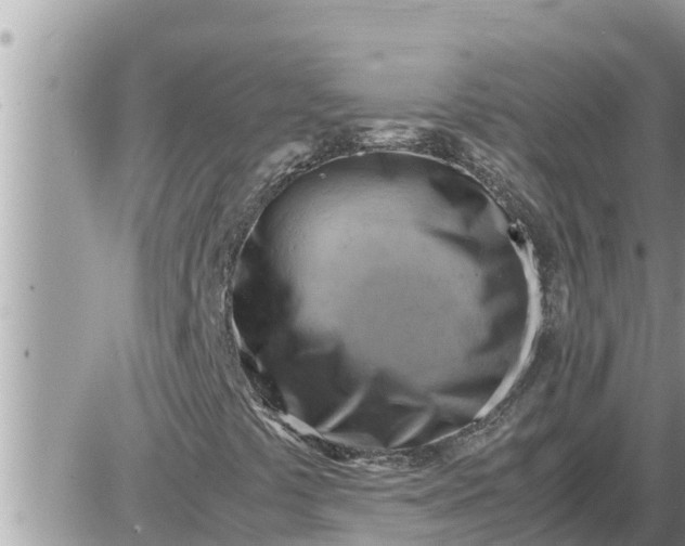 X0000087401441200705042024