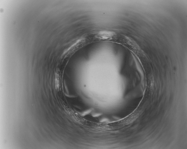 X0000087401442200705042023