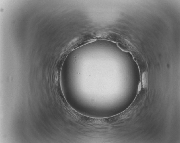 X0000087401443200705042023