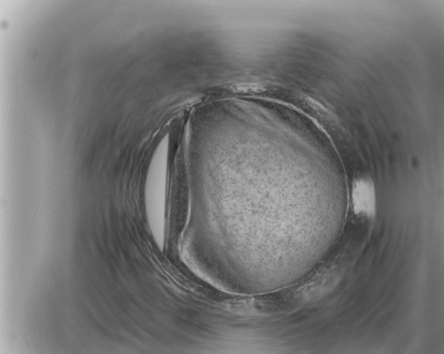 X0000087401444200705042023