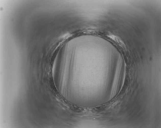 X0000087401445200705042023