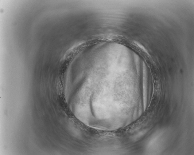 X0000087401446200705042023