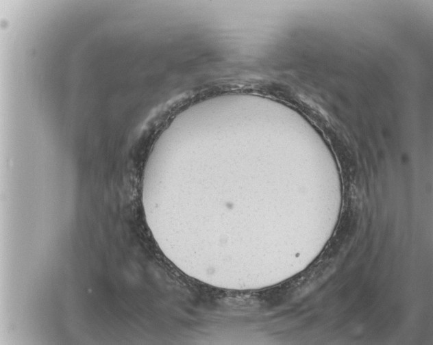 X0000087401447200705042023