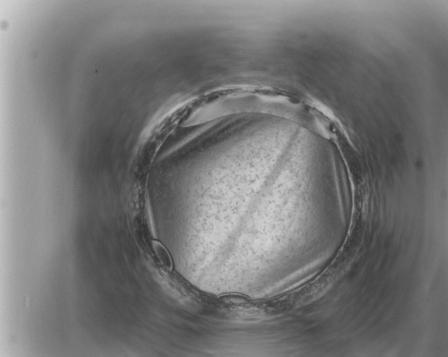 X0000087401448200705042023