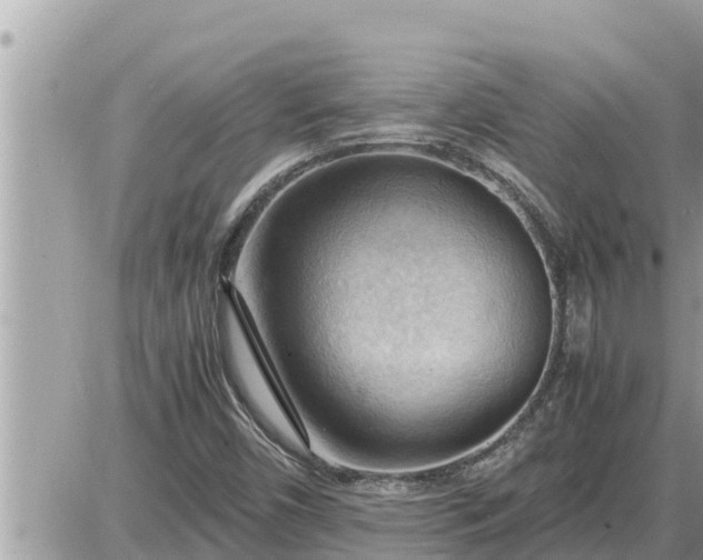 X0000087401450200705042023