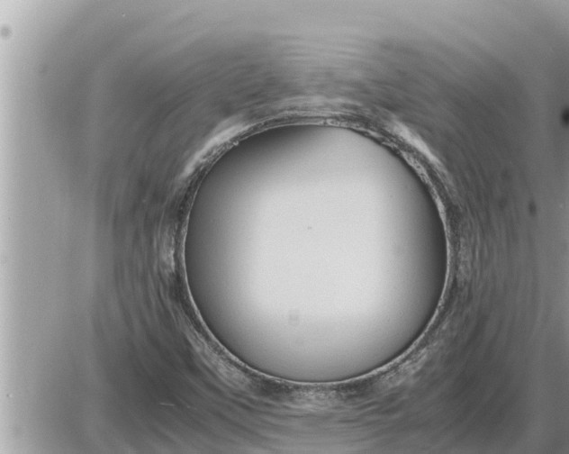 X0000087401451200705042023