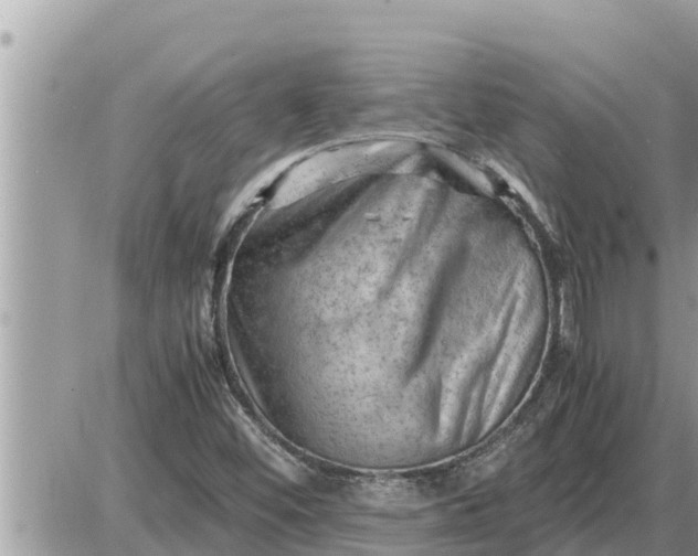 X0000087401452200705042023