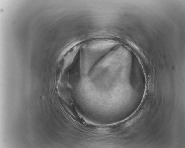 X0000087401453200705042023