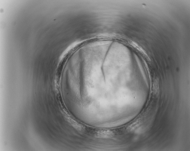 X0000087401454200705042023