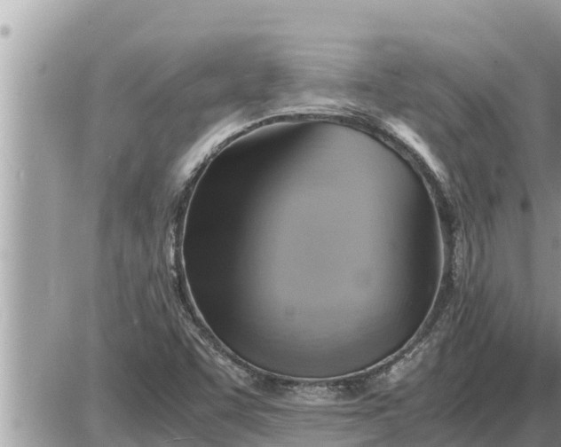 X0000087401455200705042023