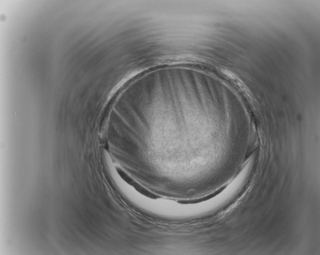 X0000087401457200705042023