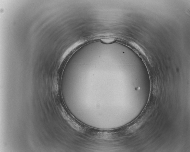 X0000087401458200705042023