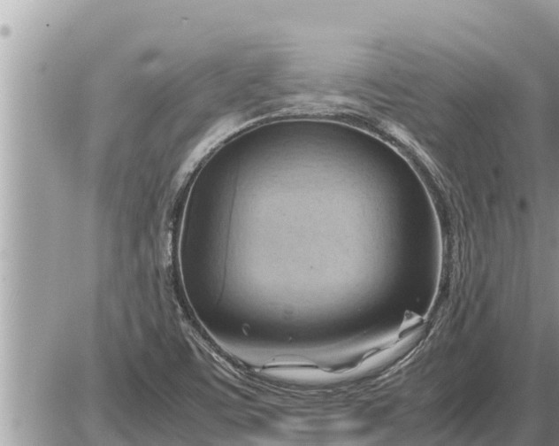 X0000087401459200705042023